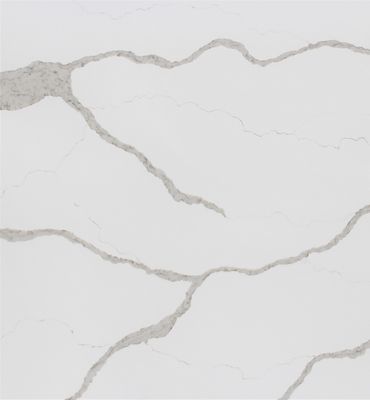 Quartz Sample - Calacatta Novello - 2x2/4x4