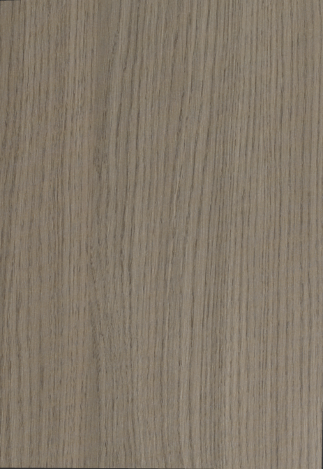 Egger Sample - Grey Vicenza Oak - 8.5" X 11"