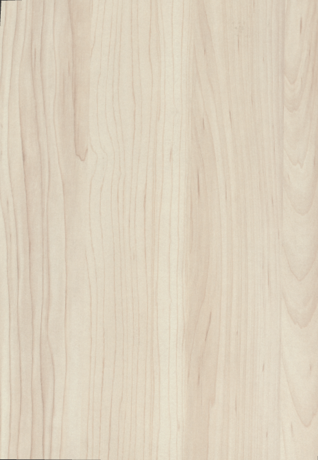 Egger Sample - Champagne Hard Maple - 8.5" X 11"