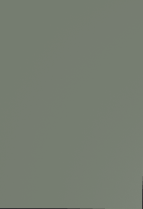 Egger Sample - Reed Green - 8.5" X 11"