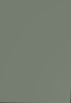 Egger Sample - Reed Green - 8.5" X 11"