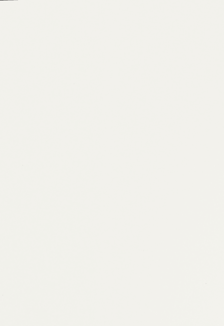 Egger Sample - Classic White - 8.5" X 11"