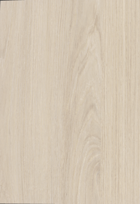 Egger Sample - White Casella Oak - 8.5" X 11"