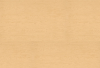 Egger Sample - Hardrock Maple - 8.5" X 11"