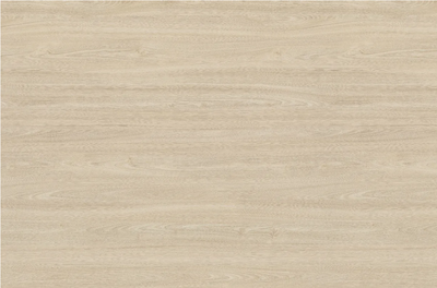 Egger Sample - White Tossini Elm - 8.5" X 11"