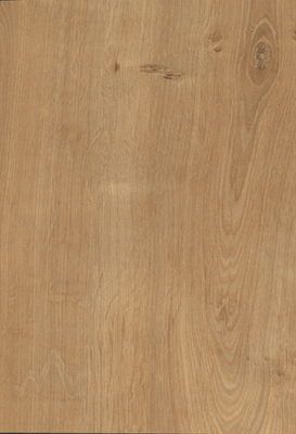Egger Sample - Natural Hamilton Oak - 8.5" X 11"