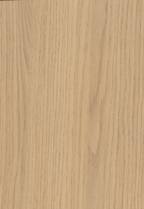 Egger Sample - Vicenza Oak - 8.5" X 11"