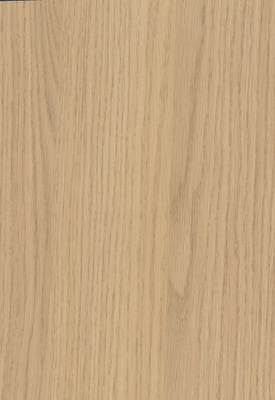 Egger Sample - Vicenza Oak - 8.5" X 11"