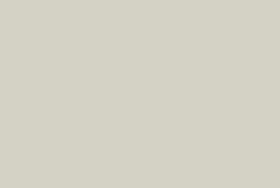 Egger Sample - Fog Grey - 8.5" X 11"