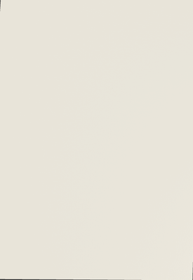 Egger Sample - White Grey - 8.5" X 11"