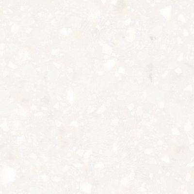 Solid Surface Sample - Antarctica - 2x2/4x4