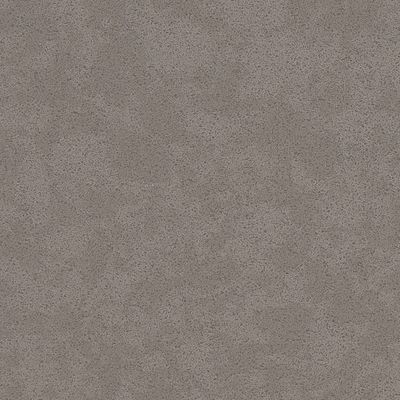 Quartz Sample - Dove Grey Leathered - 2x2/4x4