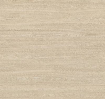 Egger Sample - White Tossini Elm - 8.5" X 11"