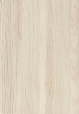 Egger Sample - Champagne Hard Maple - 8.5" X 11"