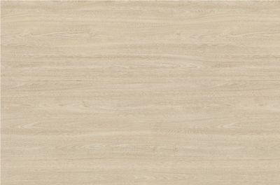 Egger Sample - White Tossini Elm - 8.5" X 11"