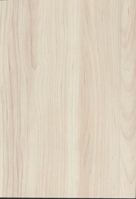 Egger Sample - Champagne Hard Maple - 8.5" X 11"