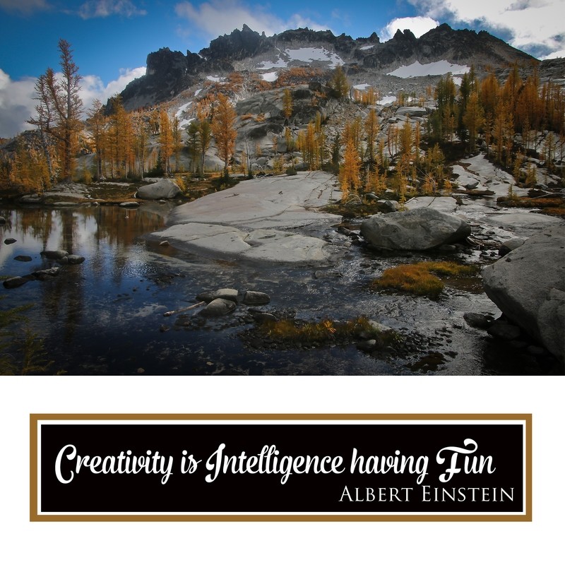 Creativity is Intelligence having Fun