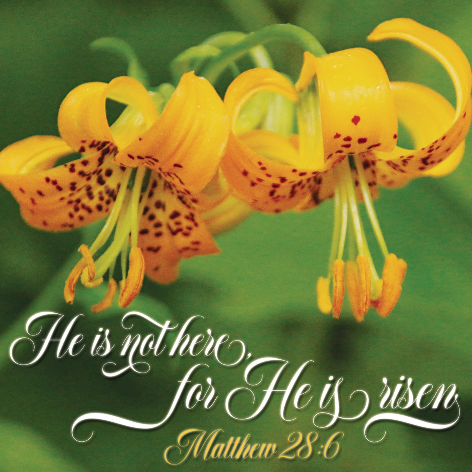He is Risen!