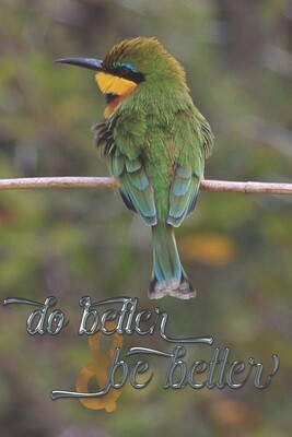 Do Better &amp; Be Better