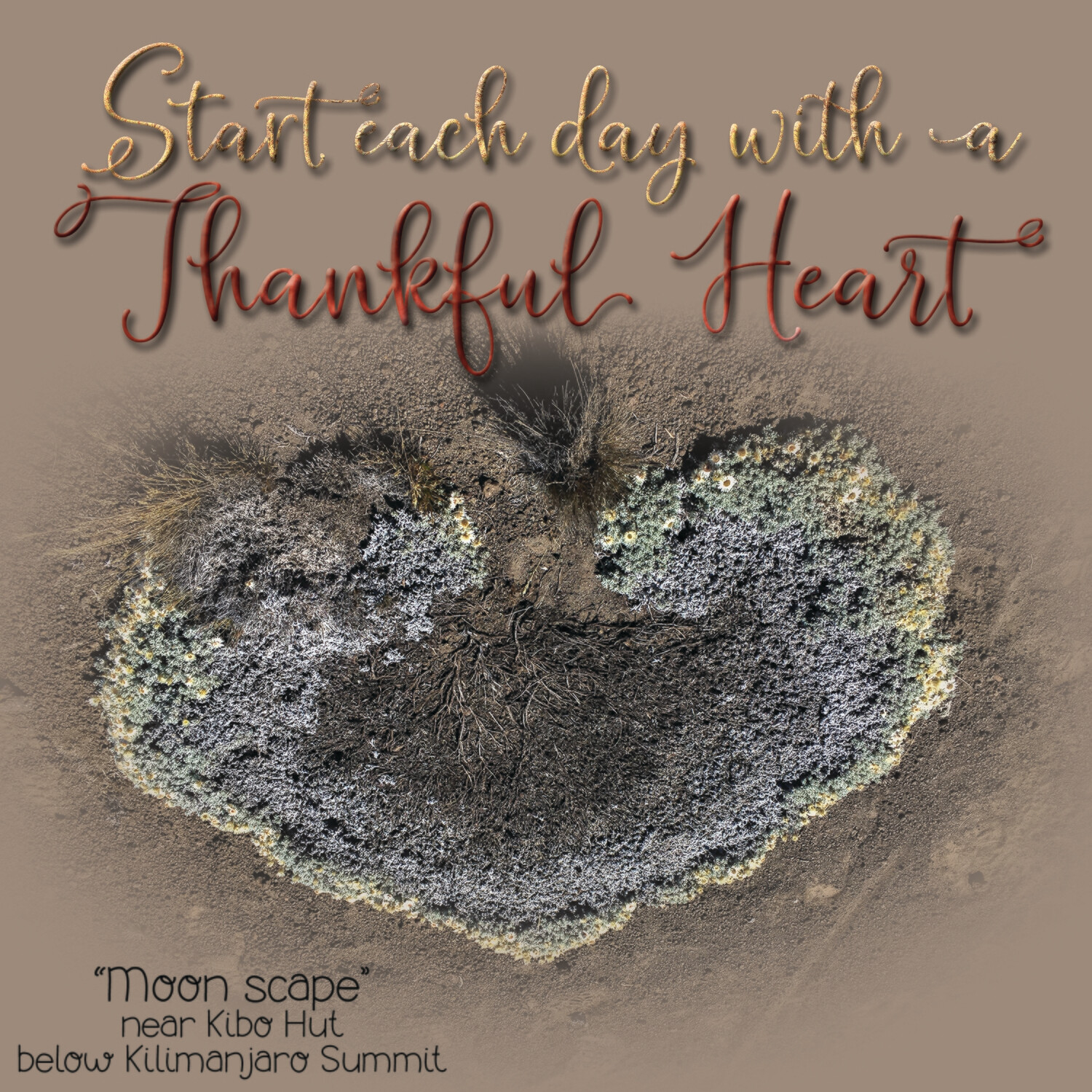 Thankful Heart