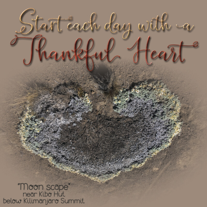 Thankful Heart