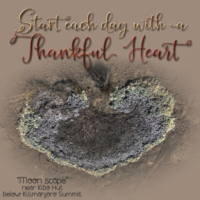 Thankful Heart