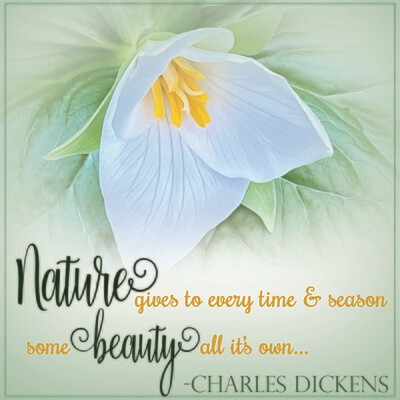 Charles Dickens Nature Season's Beauty