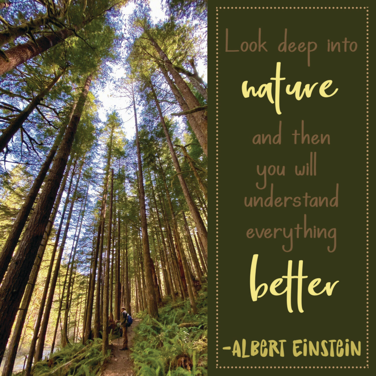 Look deep into nature ...