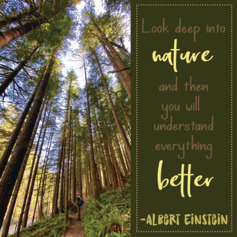 Look deep into nature ...
