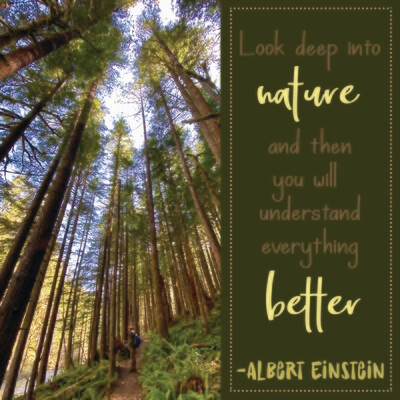 Look deep into nature ...