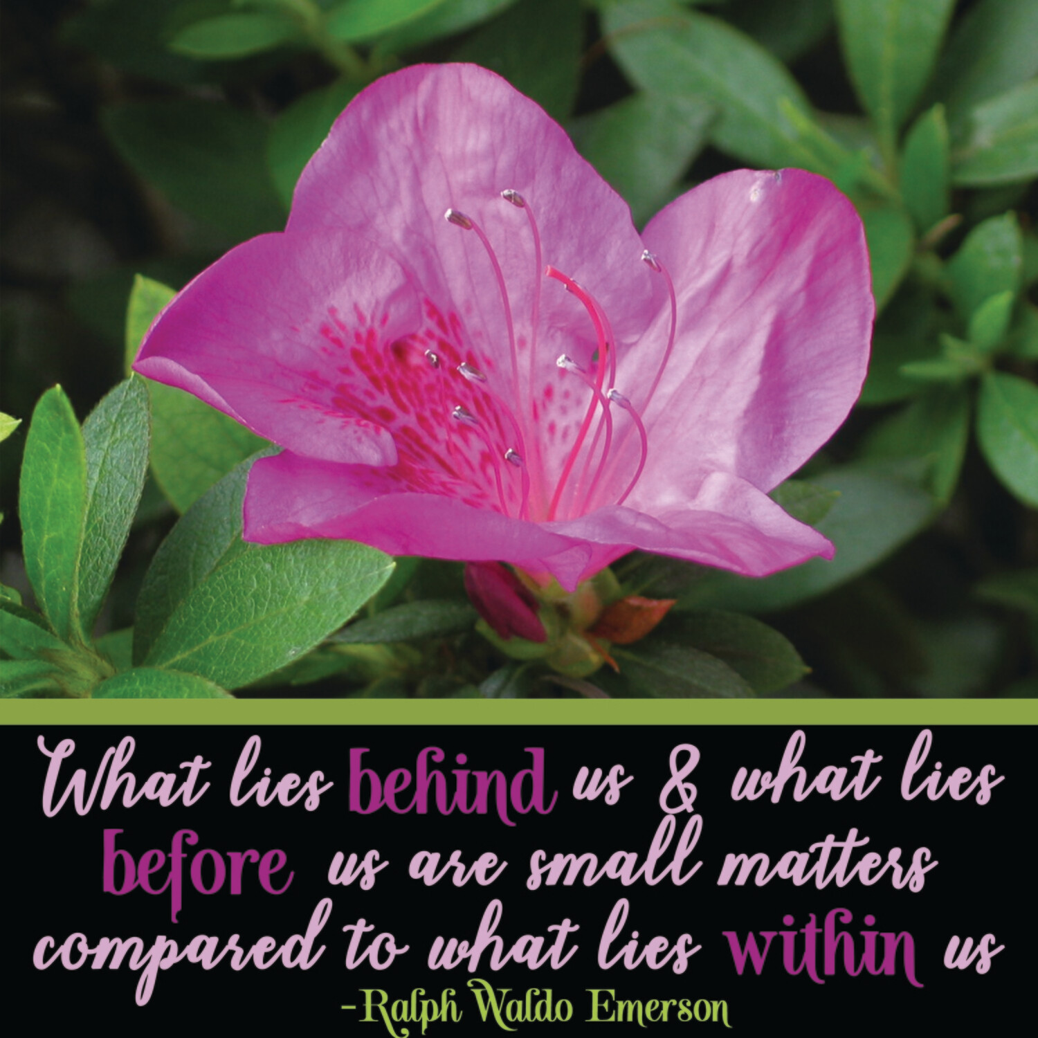 What Lies Within Us