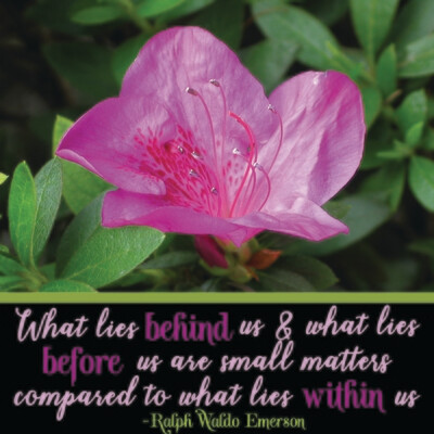 What Lies Within Us