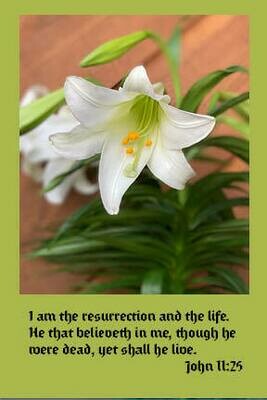 I am the Resurrection and the Life!