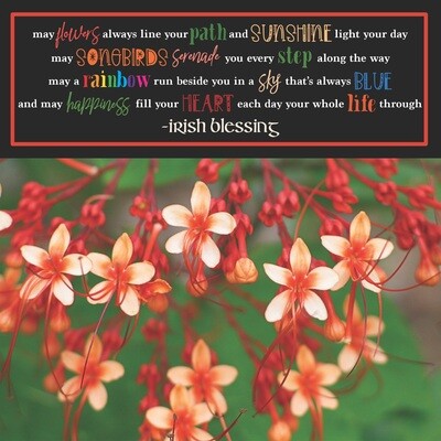 Spring Irish Blessing