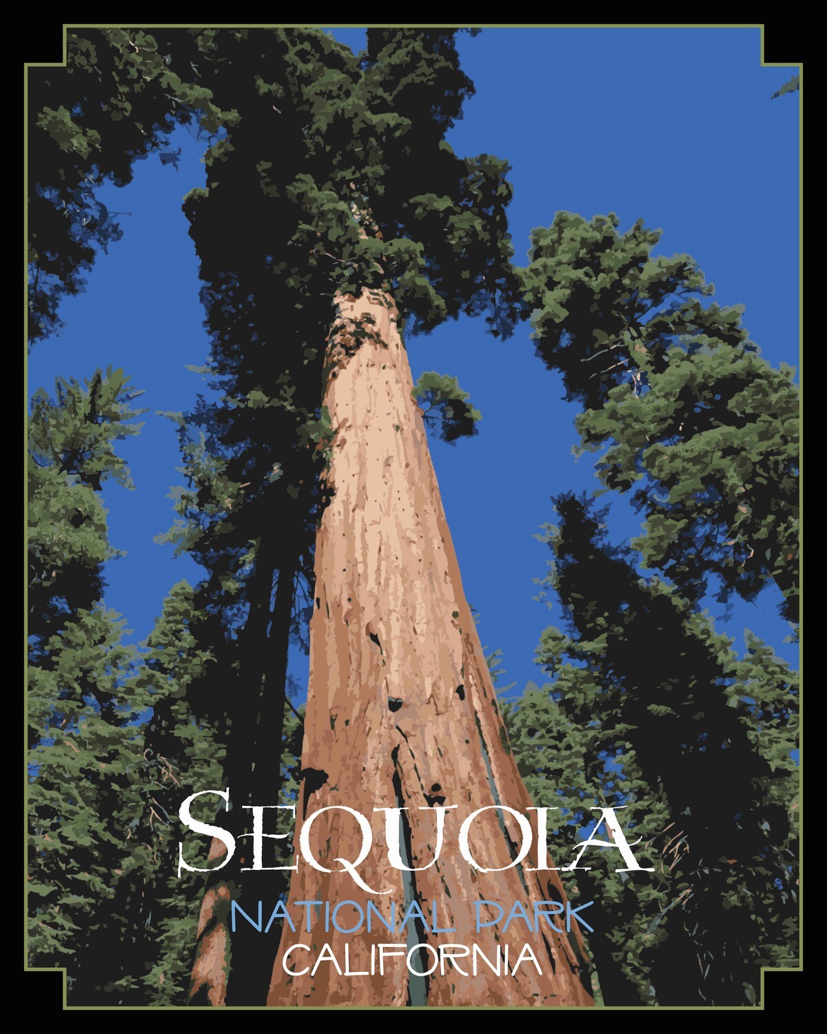 Sequoia National Park Poster