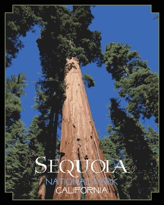 Sequoia National Park Poster