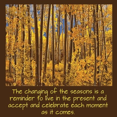 Change of Seasons