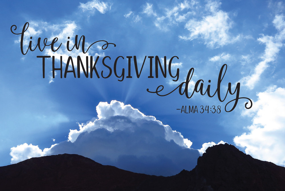 Live in Thanksgiving Daily
