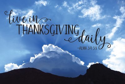 Live in Thanksgiving Daily