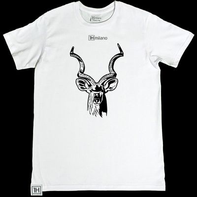 Tragelaphus Strepsiceros