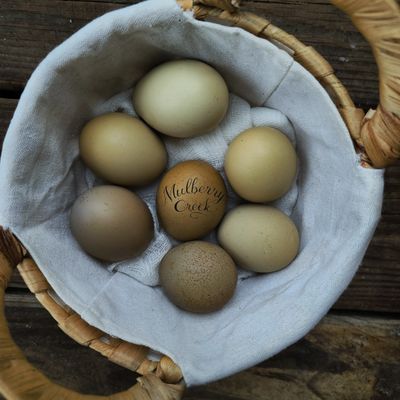 Green Spectrum Mix Chick Box Green Spectrum Mix Chick Box