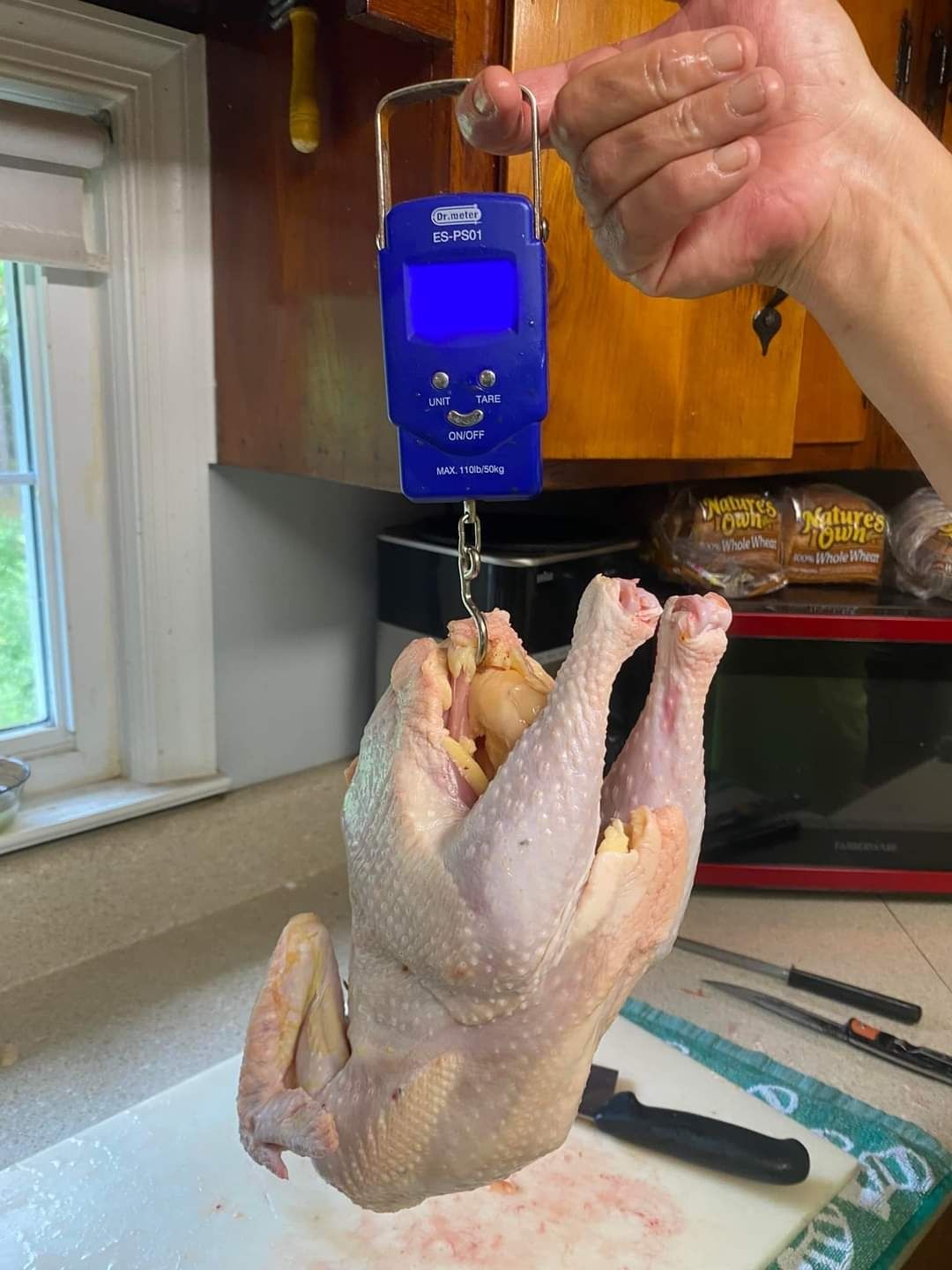 Meat Nugget Mix Chick Box