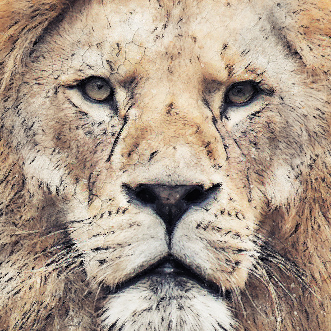 Lion King - Gallery quality fine art reproduction from £22.00 - Tap or click the image for more information, print and size options.