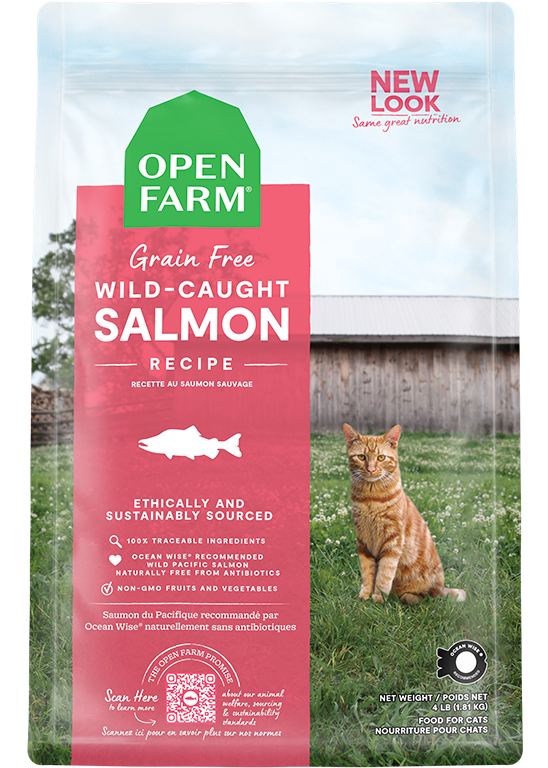 Open Farm Cat DRY Salmon 4lb