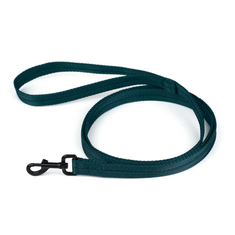 DogLine Nylon Flat Leash 4ft Teal