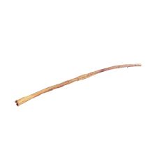 Home Range Bully Cane 30-36&quot;