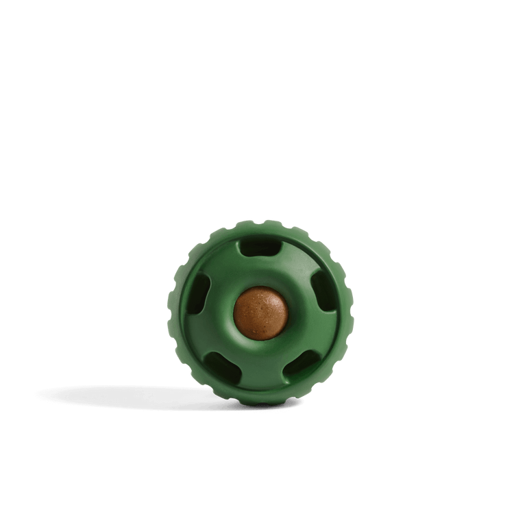 Woof Pupsicle Green Extra Large