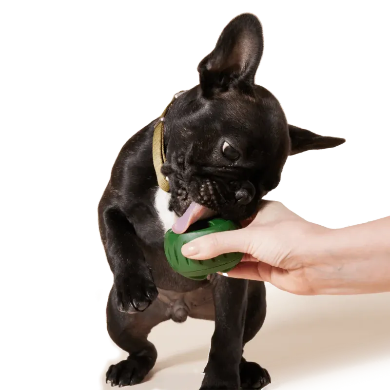 Woof