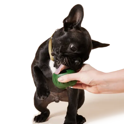 Woof