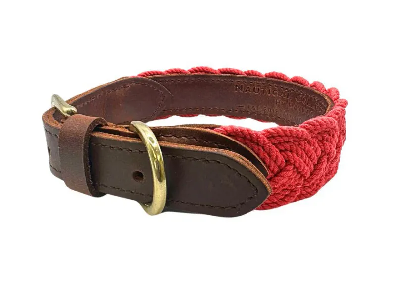 Baydog Seaside Collar